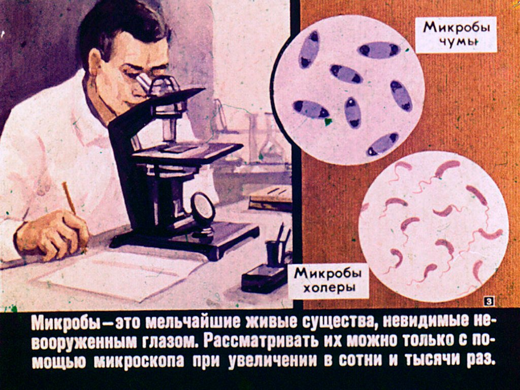 Кадр 3 диафильма «Чем опасно бактериологическое оружие»