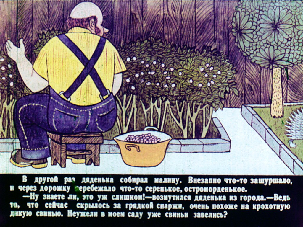 Кадр 3 диафильма «Верный еж»