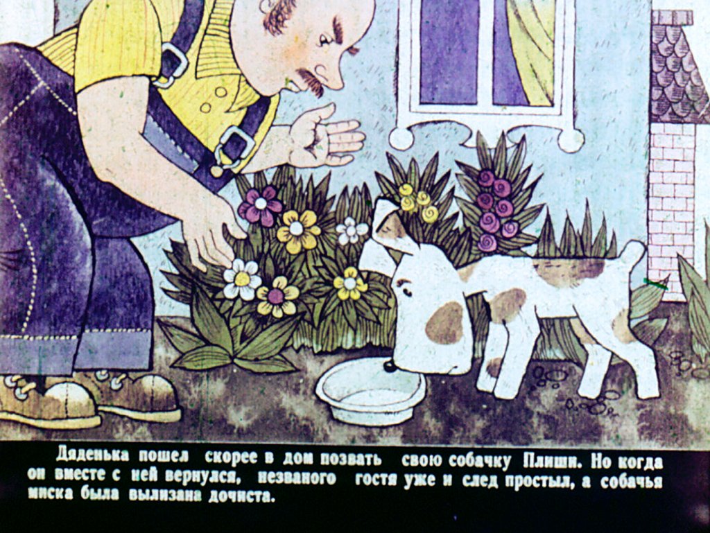 Кадр 6 диафильма «Верный еж»