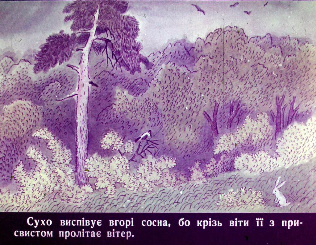 Кадр 4 диафильма «Удивительная дружба»