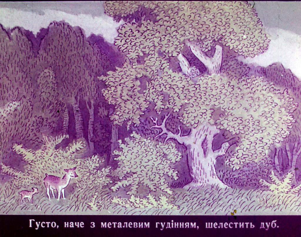 Кадр 5 диафильма «Удивительная дружба»