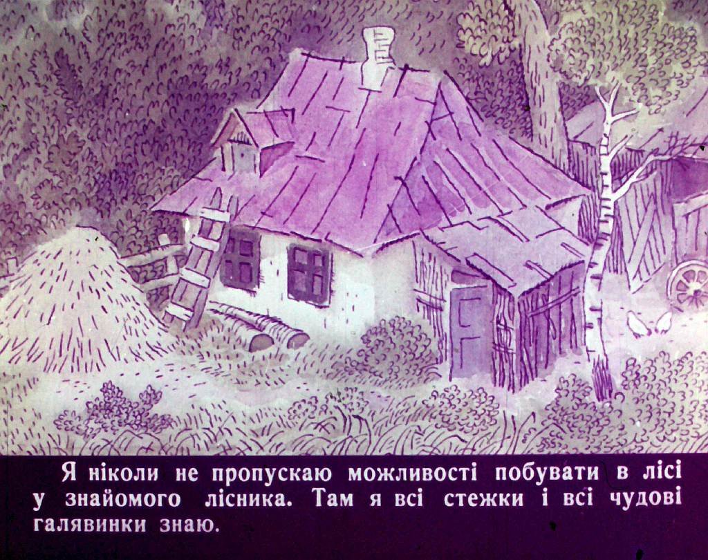 Кадр 7 диафильма «Удивительная дружба»