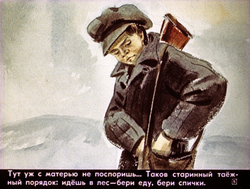 Кадр 5 диафильма «Васюткино озеро»