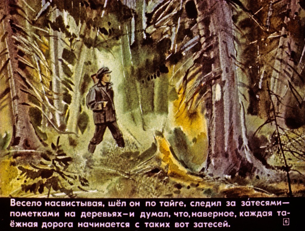Кадр 6 диафильма «Васюткино озеро»