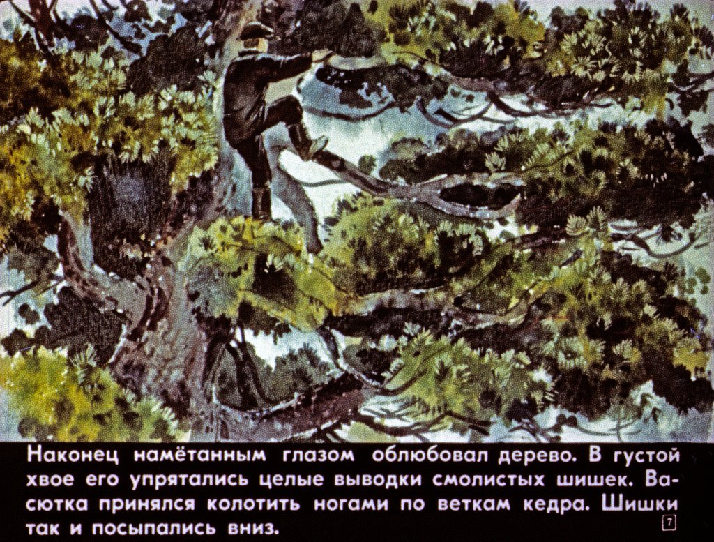 Кадр 7 диафильма «Васюткино озеро»