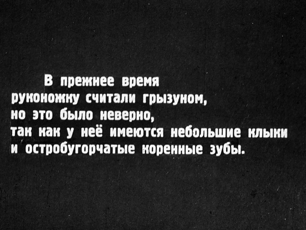 Кадр 6 диафильма «Млекопитающие. Часть VI»