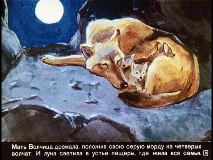 Кадр 3 диафильма «Маугли»