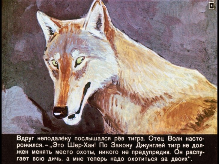 Кадр 4 диафильма «Маугли»