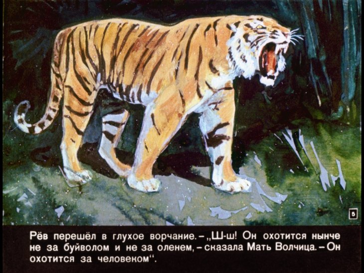 Кадр 5 диафильма «Маугли»