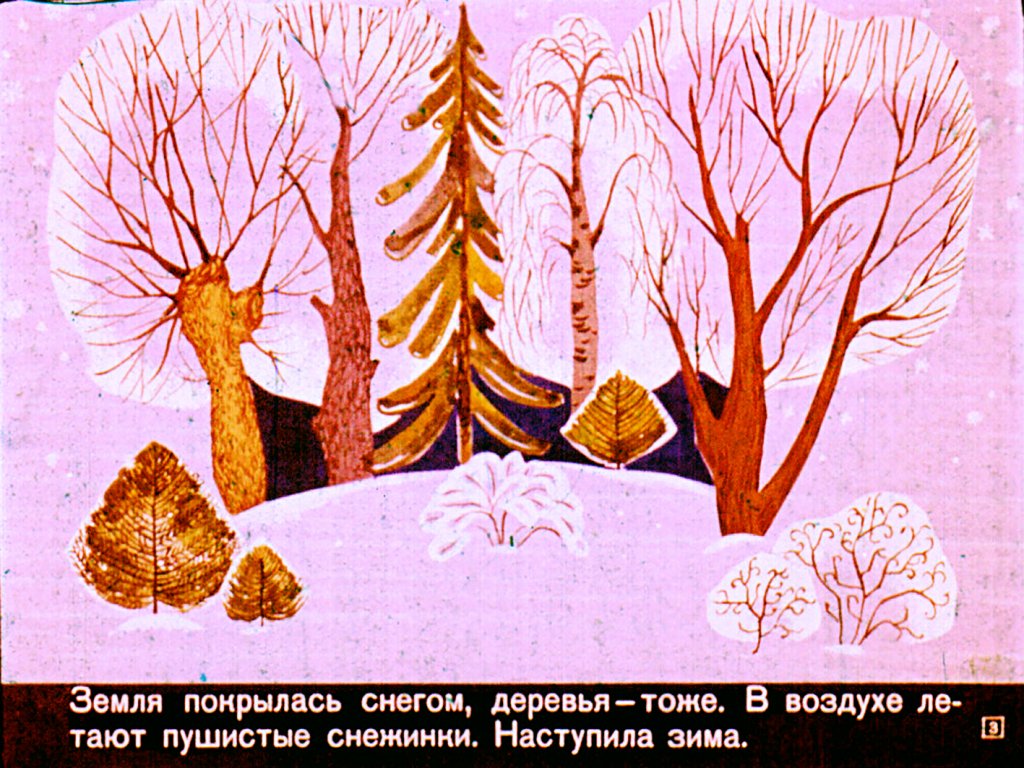 Кадр 3 диафильма «Две зимние сказки»