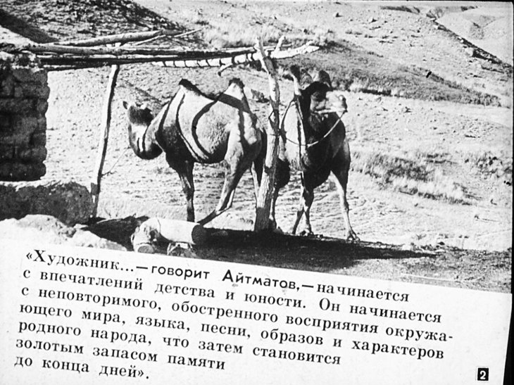 Кадр 2 диафильма «Чингиз Айтматов»