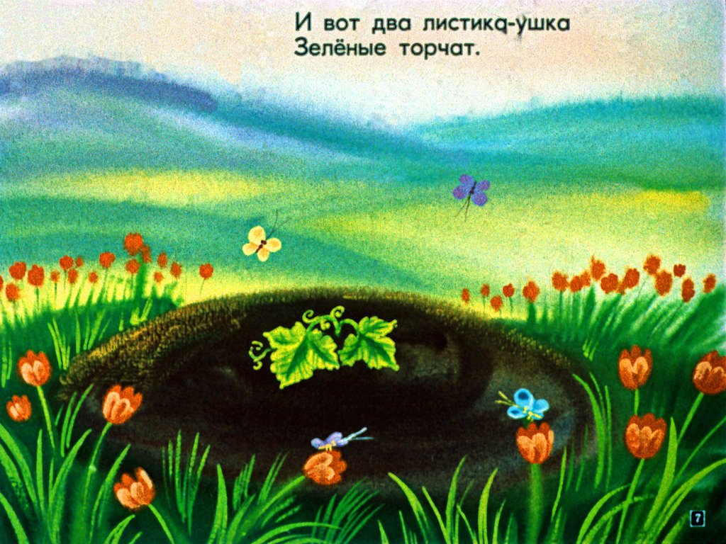 Кадр 7 диафильма «Мой арбуз»