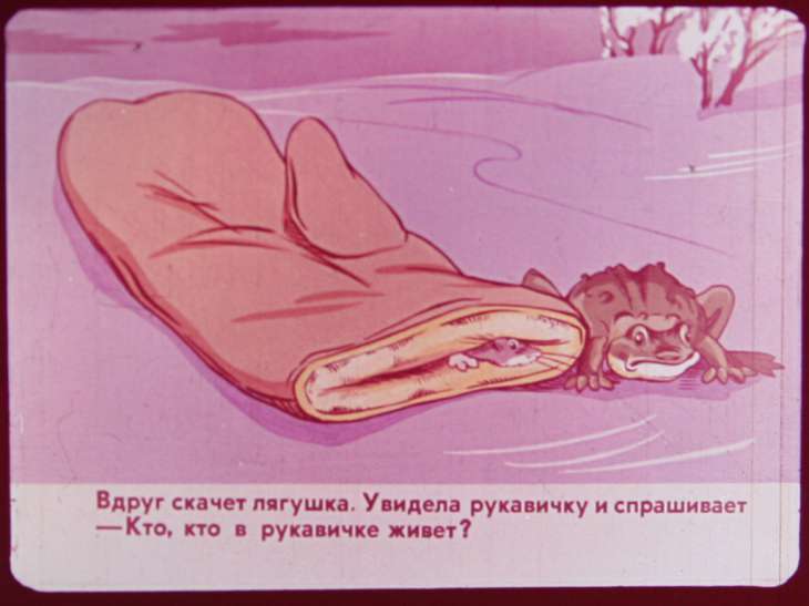 Кадр 7 диафильма «Рукавичка»