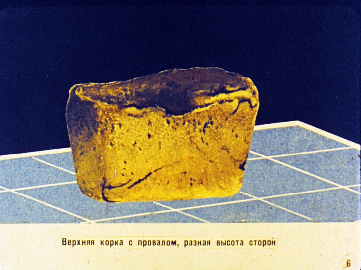 Кадр 7 диафильма «Дефекты и болезни хлеба. Часть 1»