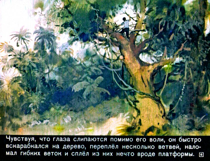 Кадр 6 диафильма «Царь зверей»