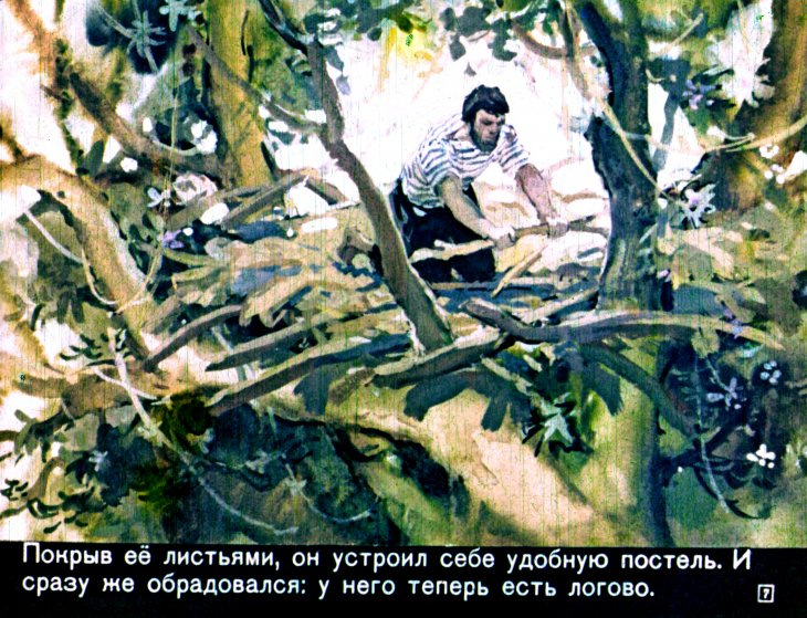 Кадр 7 диафильма «Царь зверей»