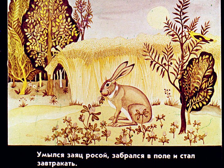 Кадр 2 диафильма «Лиса королева»