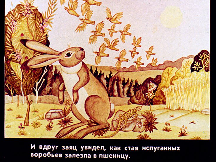 Кадр 3 диафильма «Лиса королева»