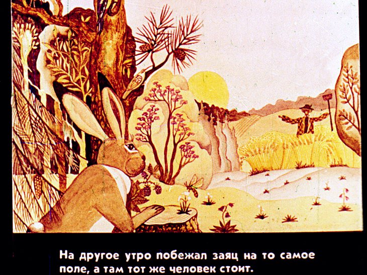 Кадр 6 диафильма «Лиса королева»