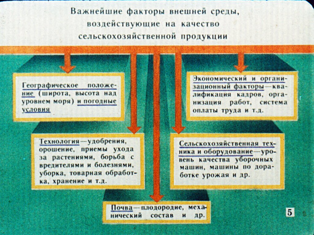 Кадр 6 диафильма «Стандарты и качество продукции растениеводства»