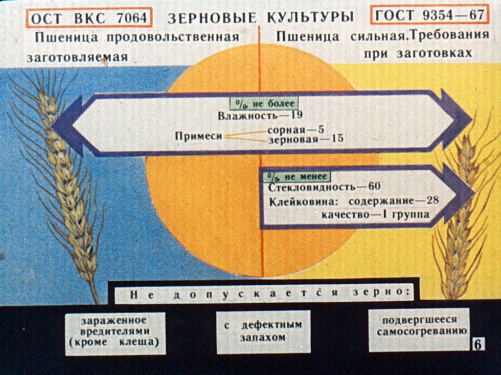 Кадр 7 диафильма «Стандарты и качество продукции растениеводства»
