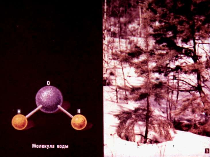 Кадр 3 диафильма «Вода»