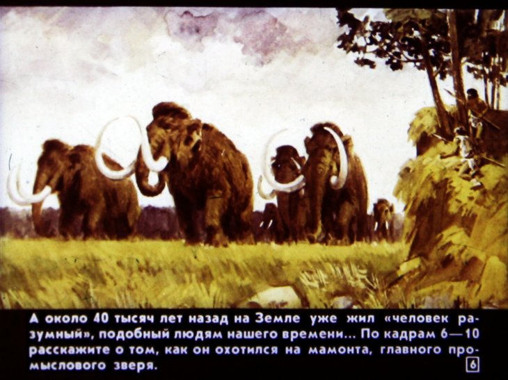 Кадр 6 диафильма «Задания по истории древнего мира»