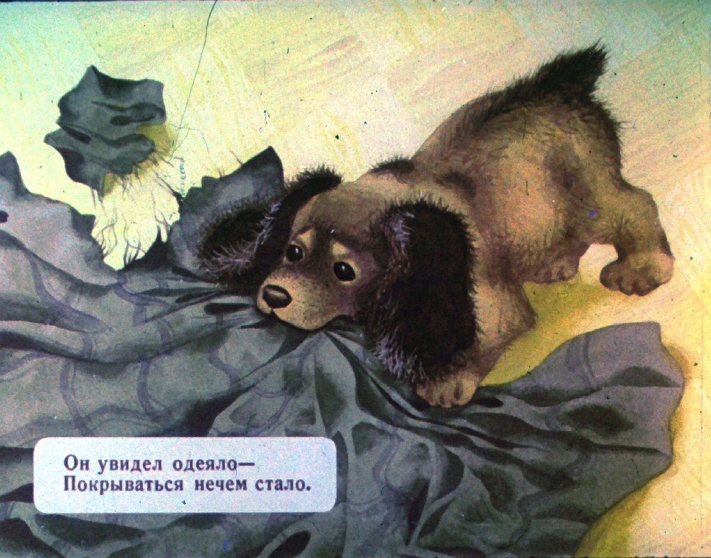 Кадр 4 диафильма «Мой щенок»