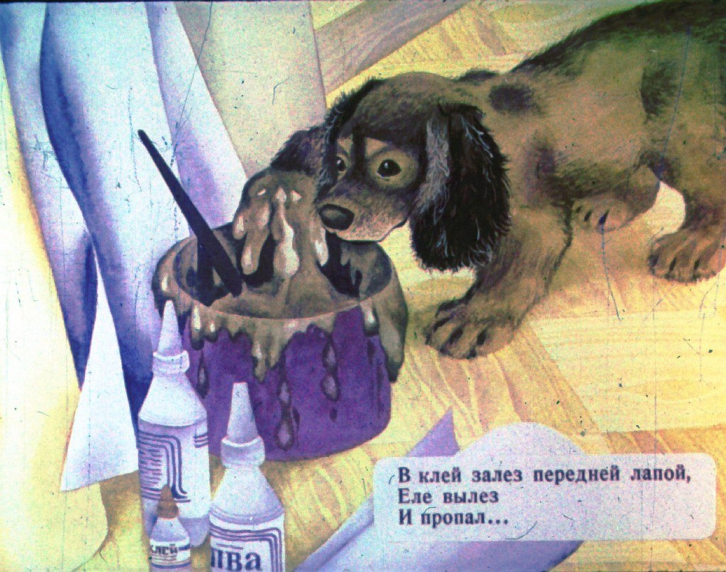 Кадр 7 диафильма «Мой щенок»