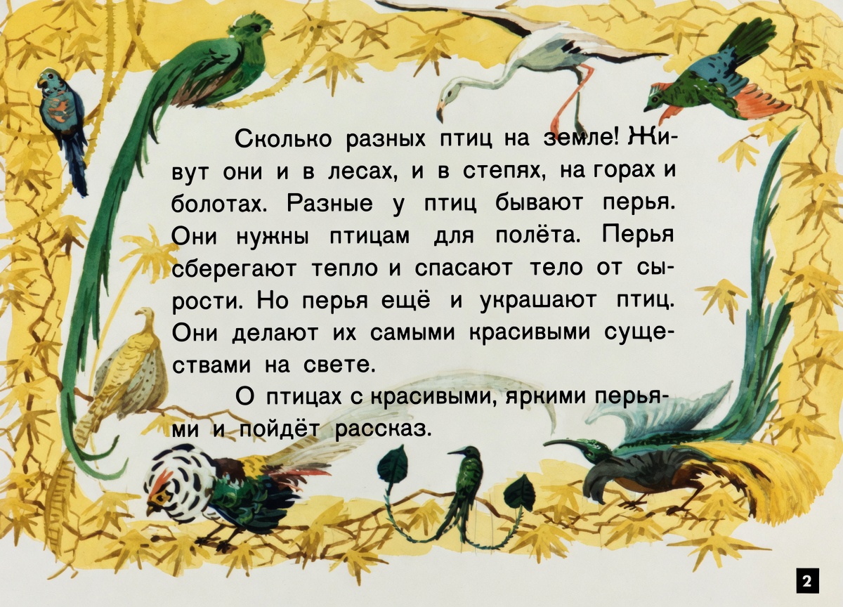 Кадр 2 диафильма «Волшебные перышки»