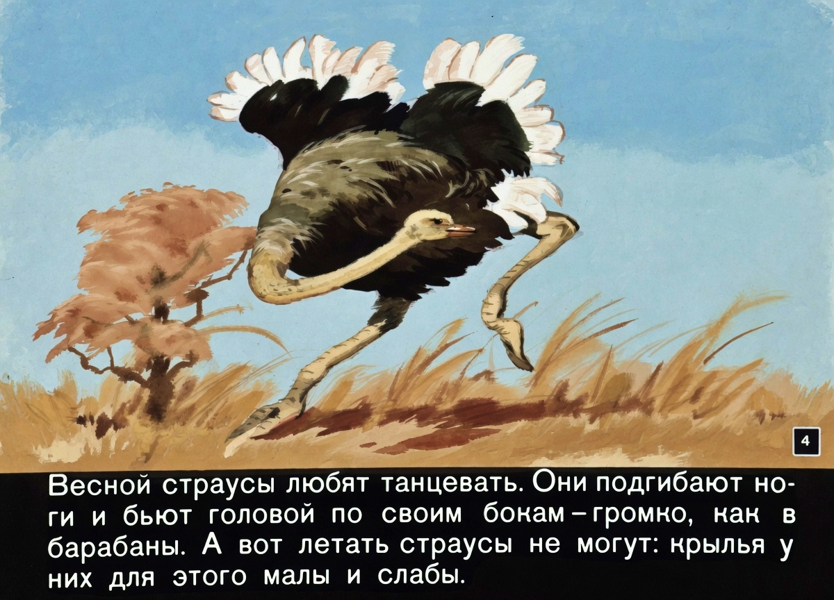 Кадр 4 диафильма «Волшебные перышки»