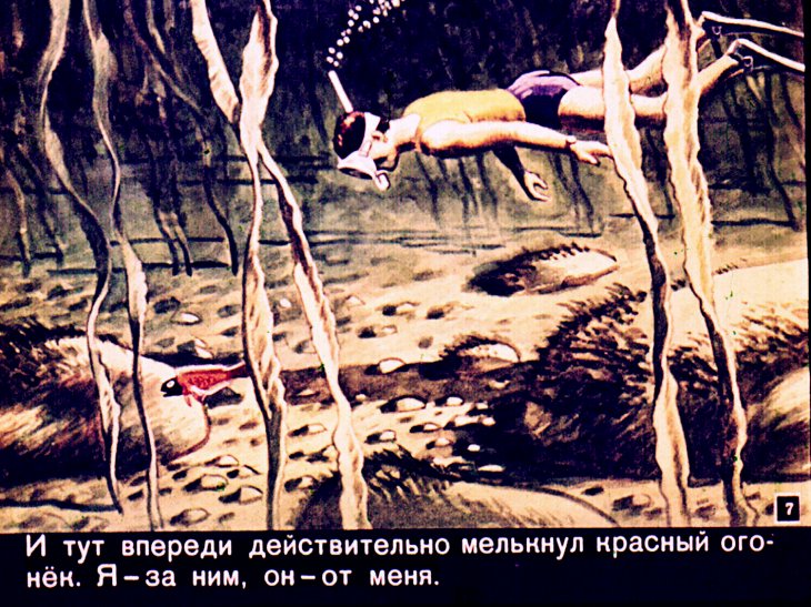 Кадр 7 диафильма «Разноцветное море»