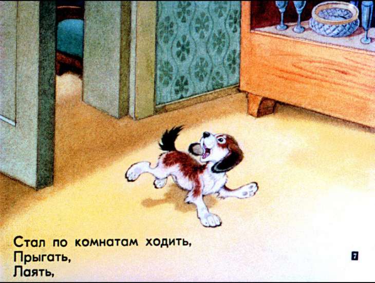 Кадр 7 диафильма «Щенок»