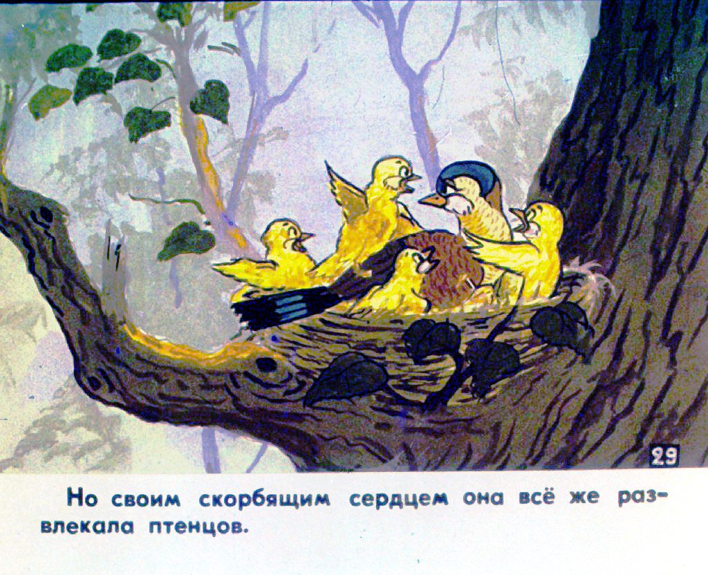 Кадр 2 диафильма «История маленькой пташки. Часть 2»