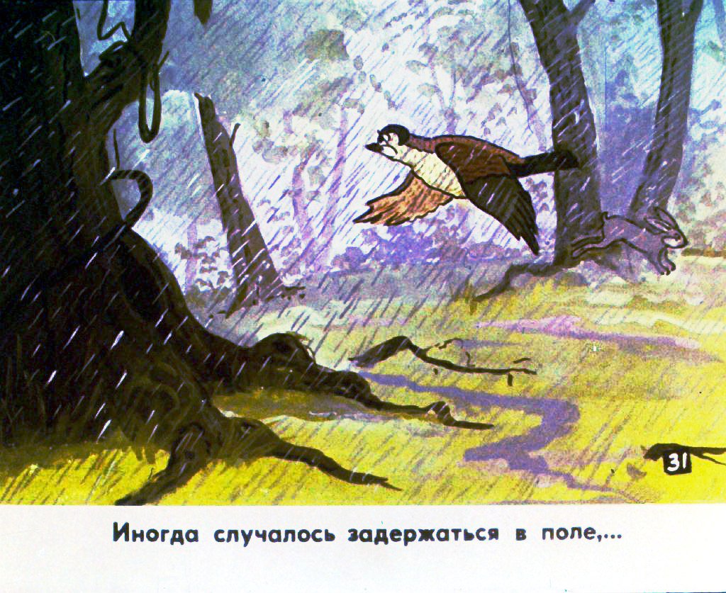Кадр 4 диафильма «История маленькой пташки. Часть 2»