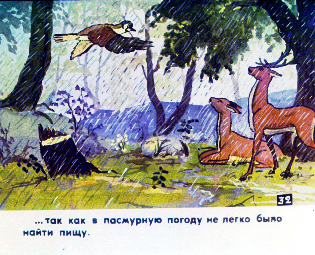 Кадр 5 диафильма «История маленькой пташки. Часть 2»
