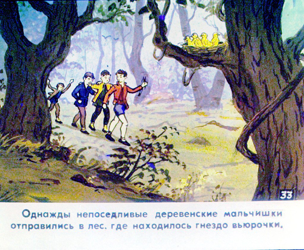 Кадр 6 диафильма «История маленькой пташки. Часть 2»