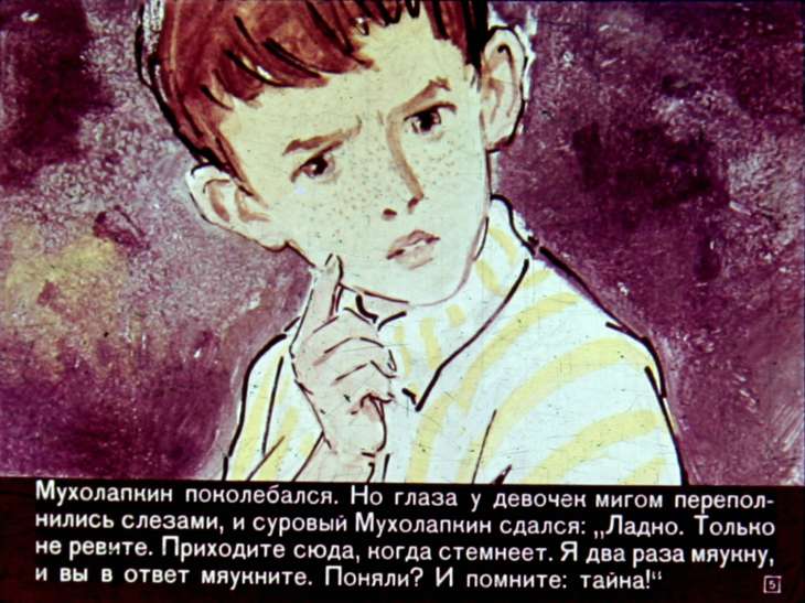 Кадр 5 диафильма «Капитан Крокус. Часть 2»