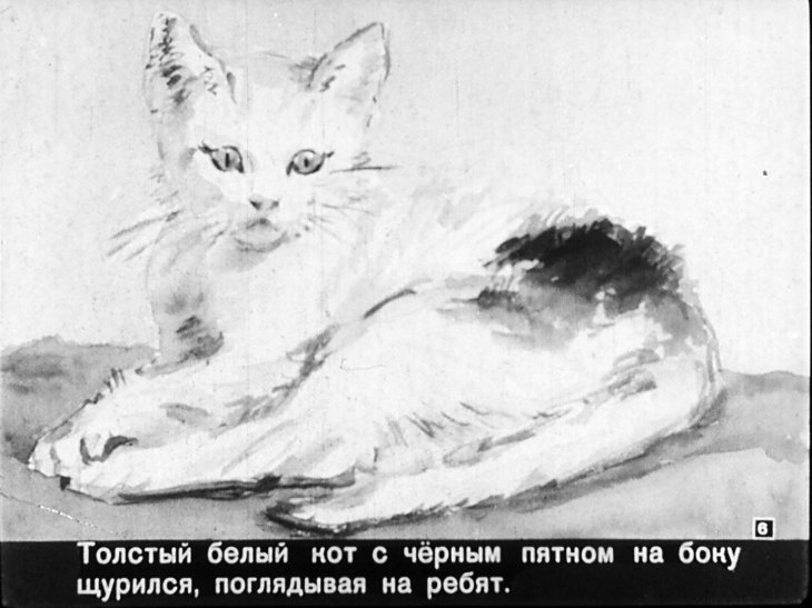 Кадр 6 диафильма «Исчезнувший хвостик»