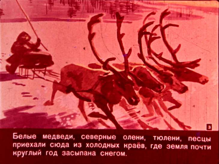 Кадр 3 диафильма «Едут звери в зоопарк»