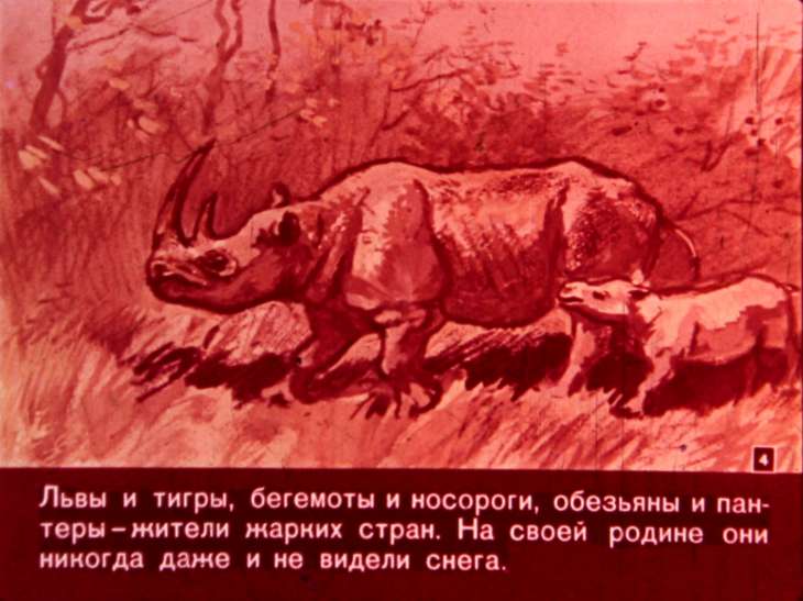 Кадр 4 диафильма «Едут звери в зоопарк»