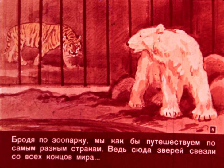 Кадр 5 диафильма «Едут звери в зоопарк»