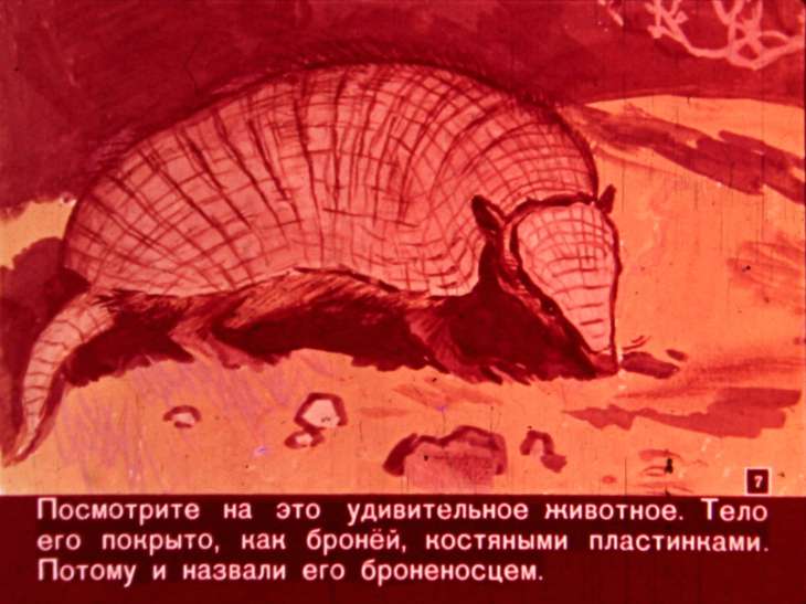 Кадр 7 диафильма «Едут звери в зоопарк»