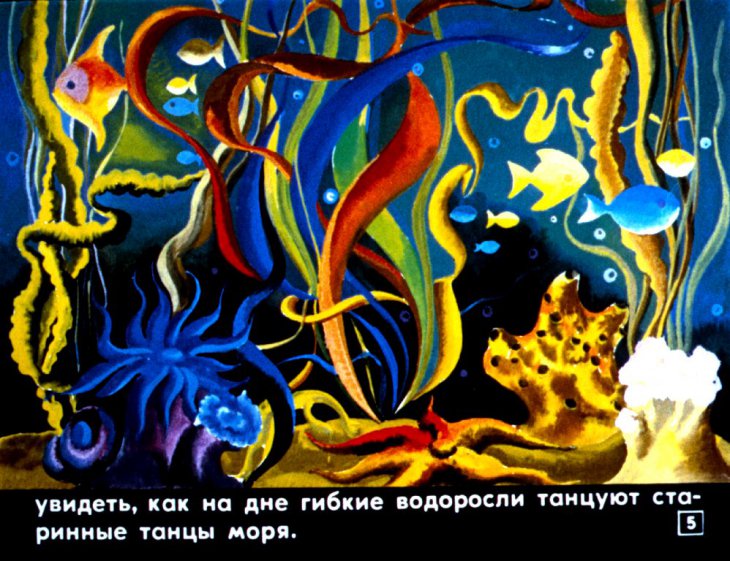 Кадр 5 диафильма «Луна и рыба»