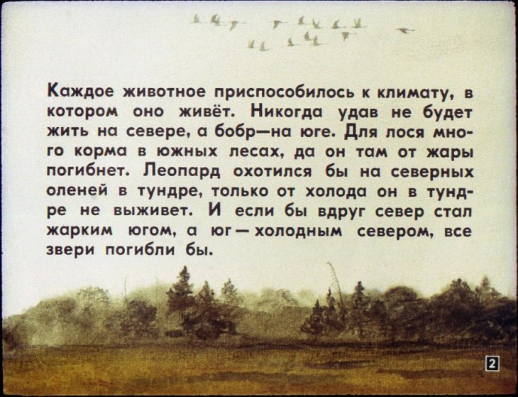 Кадр 2 диафильма «Звери наших лесов»