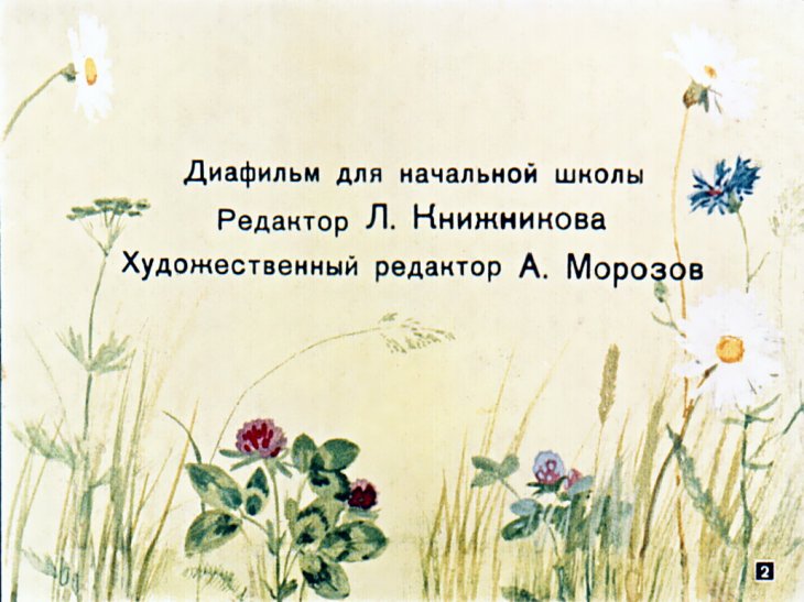 Кадр 2 диафильма «Ребята и утята. Булька»