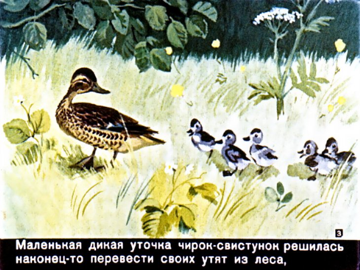 Кадр 3 диафильма «Ребята и утята. Булька»