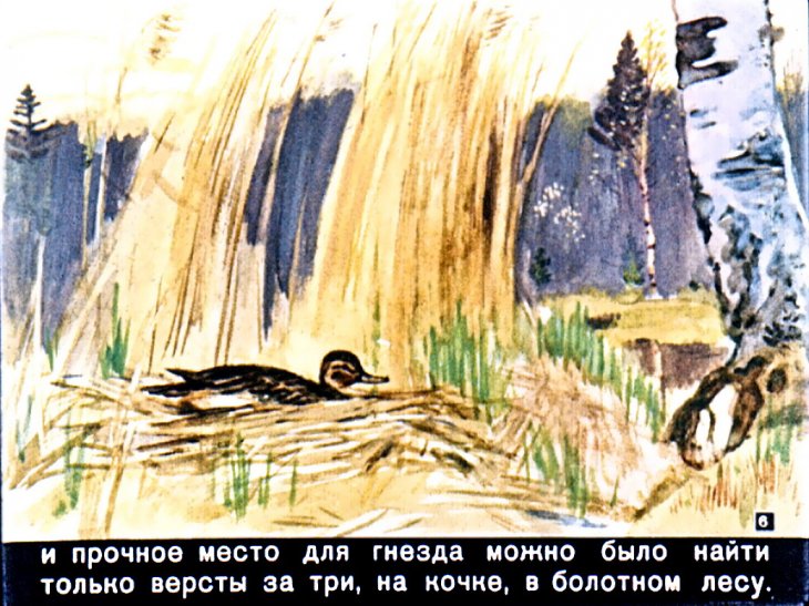 Кадр 6 диафильма «Ребята и утята. Булька»