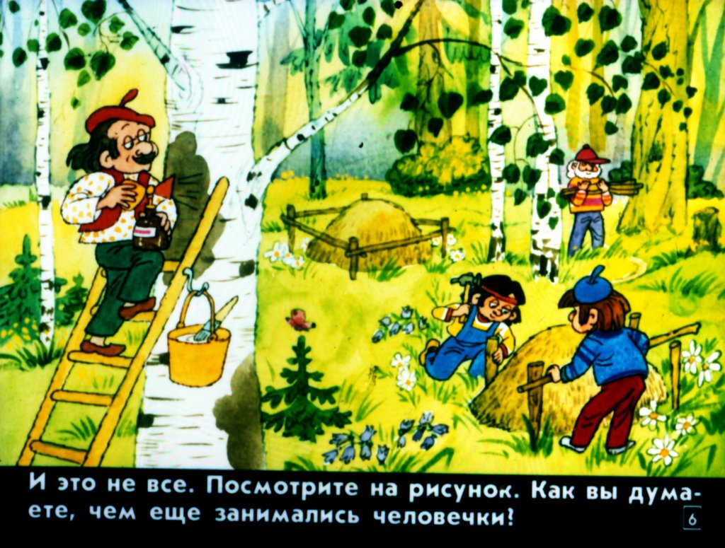 Кадр 6 диафильма «Два леса»