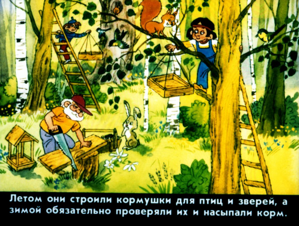 Кадр 7 диафильма «Два леса»
